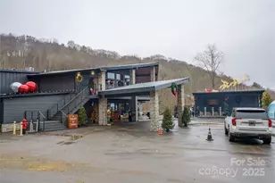 672 Chestnut Ln, Mars Hill, NC 28754 - Photo 42