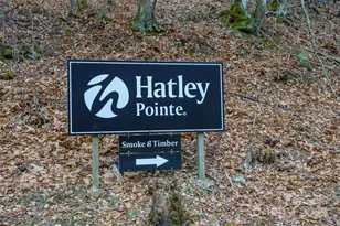 672 Chestnut Ln, Mars Hill, NC 28754 - Photo 40