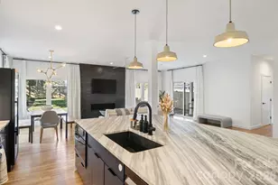 1609 Pegram St, Charlotte, NC 28205 - Photo 16