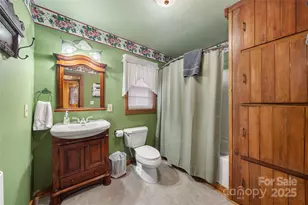 210 Bear Pen Rd, Burnsville, NC 28714 - Photo 20