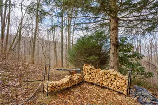 210 Bear Pen Rd, Burnsville, NC 28714 - Photo 34