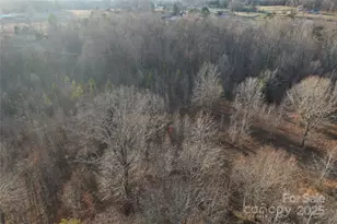 134 Charcoal Rd, Cherryville, NC 28021 - Photo 22