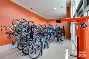 905 Kenilworth Ave, Charlotte, NC 28204 - Photo 30