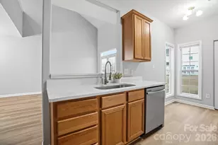 11284 Lions Mane St, Charlotte, NC 28273 - Photo 18