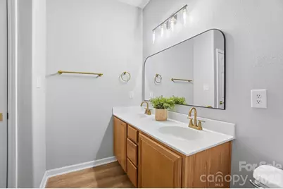 11284 Lions Mane Street, Charlotte, NC 28273 - Photo 32
