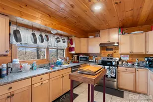 252 Idylwild Ln, Black Mountain, NC 28711 - Photo 8