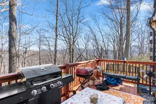 252 Idylwild Ln, Black Mountain, NC 28711 - Photo 28