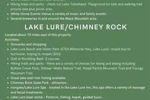 252 Idylwild Ln, Black Mountain, NC 28711 - Photo 30