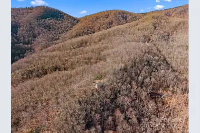 252 Idylwild Lane, Black Mountain, NC 28711 - Photo 40