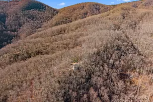 252 Idylwild Ln, Black Mountain, NC 28711 - Photo 40