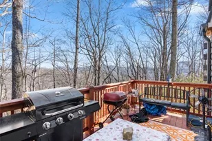 252 Idylwild Ln, Black Mountain, NC 28711 - Photo 28