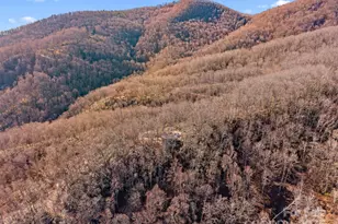 252 Idylwild Ln, Black Mountain, NC 28711 - Photo 42