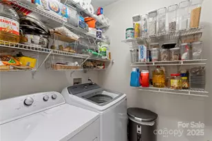 17159 Red Feather Dr, Charlotte, NC 28277 - Photo 18