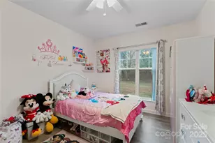 17159 Red Feather Dr, Charlotte, NC 28277 - Photo 36