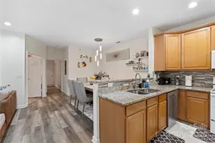 17159 Red Feather Dr, Charlotte, NC 28277 - Photo 10