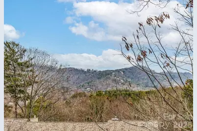 3802 Timber Trail, Asheville, NC 28804 - Photo 6