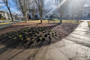 20017 Metaphor Mews None, Davidson, NC 28026 - Photo 26