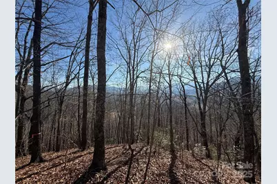 12,13,27 Brer Rabbit Trail #12,13,27, Waynesville, NC 28785 - Photo 1