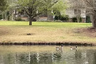 9199 Horseshoe Cir, Indian Land, SC 29707 - Photo 4