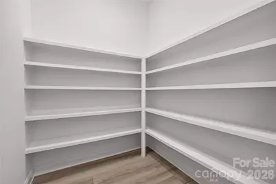 14008 Roosevelt Grove Drive, Huntersville, NC 28078 - Photo 10