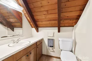 8 Owlet Dr, Weaverville, NC 28787 - Photo 16