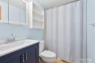 8 Owlet Dr, Weaverville, NC 28787 - Photo 8