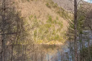100 Saddle Notch Ln, Tuckasegee, NC 28783 - Photo 30