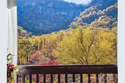 712 Main Street, Chimney Rock, NC 28720 - Photo 4