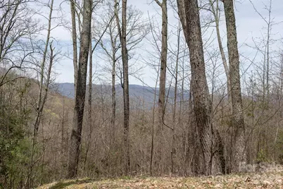Lot 2 Heritage Ridge Loop, Burnsville, NC 28714 - Photo 4