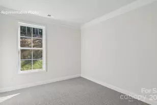 3036 Canvasback Wy, Indian Trail, NC 28079 - Photo 14