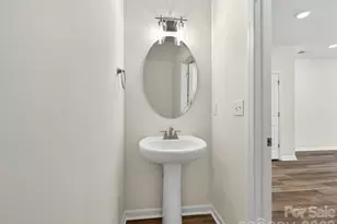 250 Alluvium Ln, Waxhaw, NC 28173 - Photo 14