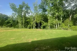 250 Alluvium Ln, Waxhaw, NC 28173 - Photo 30