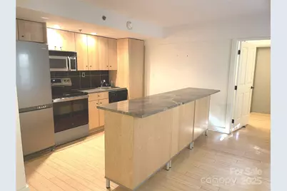 37 Hiawassee Street #W106, Asheville, NC 28801 - Photo 8