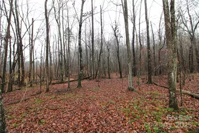 7.10+/-Ac Bess Road #LOT K, Bessemer City, NC 28016 - Photo 2