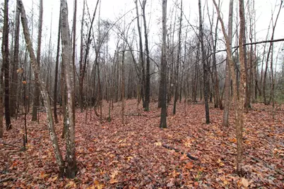 7.10+/-Ac Bess Road #LOT K, Bessemer City, NC 28016 - Photo 4