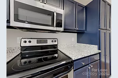 232 Indian Paint Brush Drive, Mooresville, NC 28115 - Photo 2