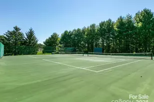 1002 Deermouse Way, Hendersonville, NC 28792 - Photo 40