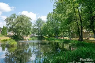 1002 Deermouse Way, Hendersonville, NC 28792 - Photo 38