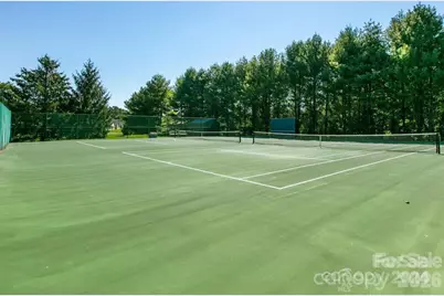 1002 Deermouse Way, Hendersonville, NC 28792 - Photo 40