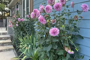 213 Sandy Creek Ct, Hendersonville, NC 28792 - Photo 32