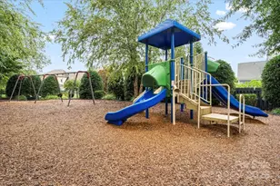 11410 Founders Park Ln, Pineville, NC 28134 - Photo 28