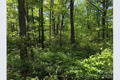 0 Millard Crossing #15, Hendersonville, NC 28792 - Photo 2