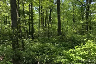 00 Millard Crossing, Hendersonville, NC 28792 - Photo 1