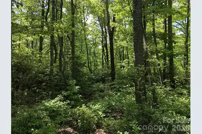 000 Millard Crossing #18, Hendersonville, NC 28792 - Photo 1