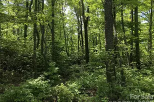 000 Millard Crossing, Hendersonville, NC 28792 - Photo 1
