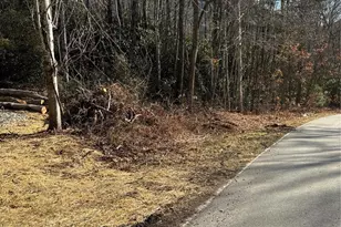 454 Sheepback Mountain Rd, Maggie Valley, NC 28751 - Photo 2