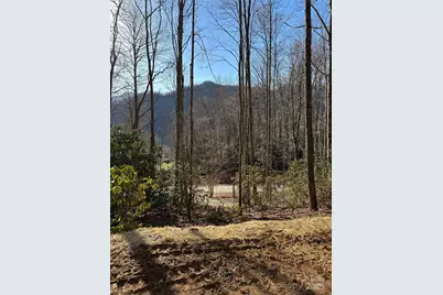 454 Sheepback Mountain Road, Maggie Valley, NC 28751 - Photo 10