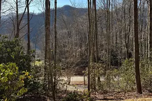 454 Sheepback Mountain Rd, Maggie Valley, NC 28751 - Photo 10