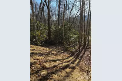 454 Sheepback Mountain Road, Maggie Valley, NC 28751 - Photo 12