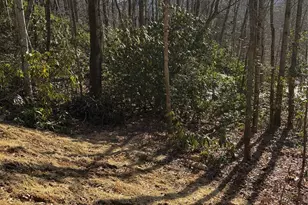 454 Sheepback Mountain Rd, Maggie Valley, NC 28751 - Photo 12